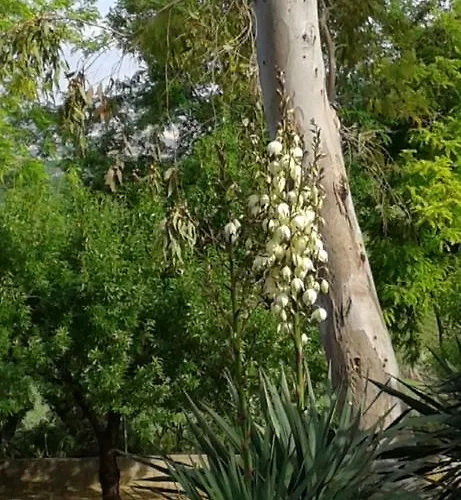 Nocleg ze śniadaniem De Rosa *